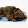 cool-pet-pad