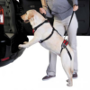 total-pet-health-lift-go-lead